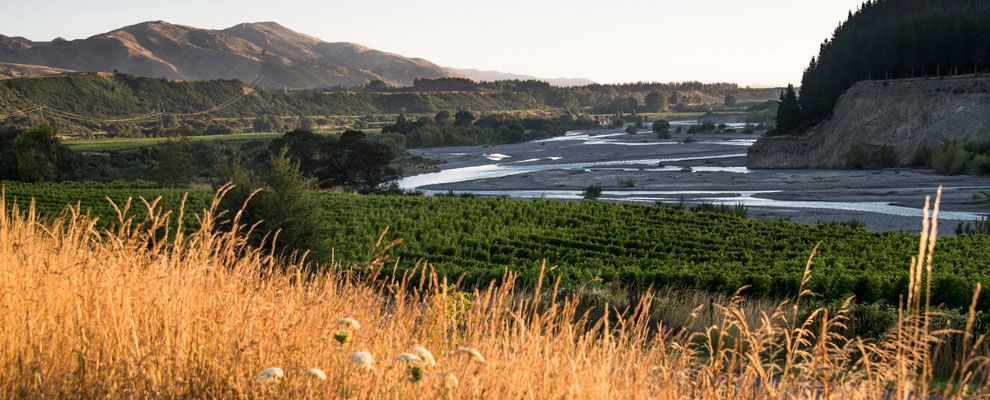 Delegat Awatere Valley